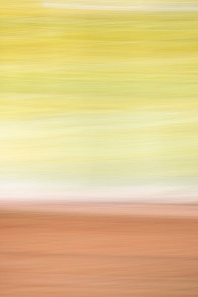 Une forêt mouvementée par Krijn van der Giessen