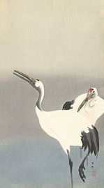 Zwei Kraniche von Ohara Koson - 1900 - 1930