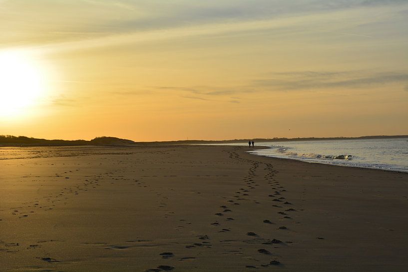 samen alleen by Marjolijn de Jongh