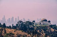 Hiking in Los Angeles be like... by Nynke Nicolai thumbnail