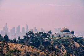 Wandern in Los Angeles ist wie... von Nynke Nicolai