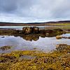 Ebbe am Loch Greshornish, Isle-of-Skye Schottland von Remco Bosshard