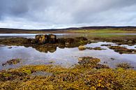 Loch Greshornish - low tide, Skye Scotland by Remco Bosshard thumbnail