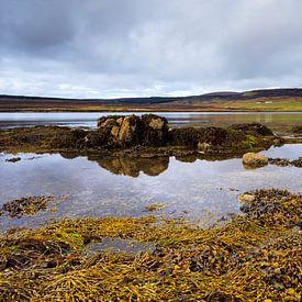 Loch Greshornish - low tide, Skye Scotland by Remco Bosshard
