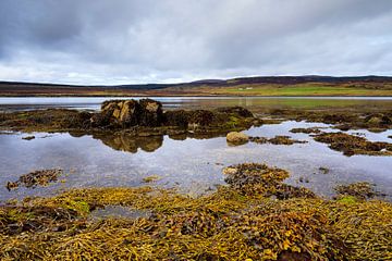 Loch Greshornish - low tide, Skye Scotland by Remco Bosshard