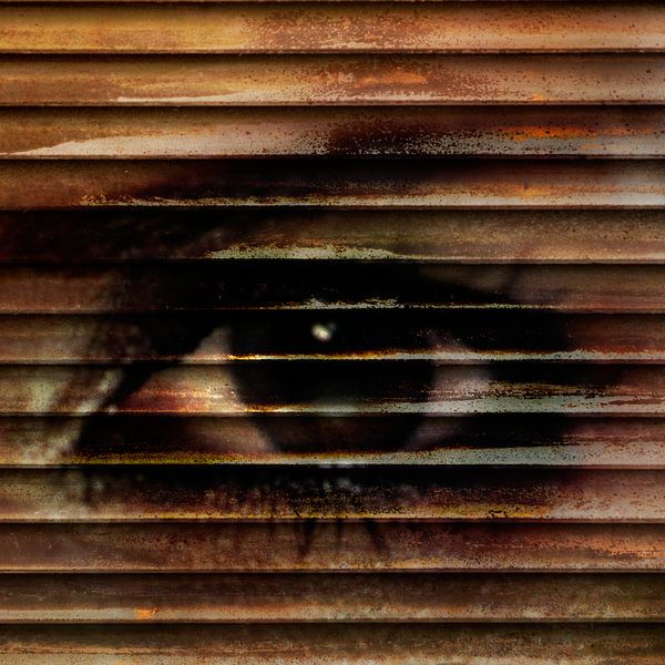 Sie's watching you von Saskia Schotanus