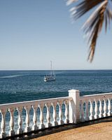Boot in de zee met palmblad op de voorgrond in Gran Canaria