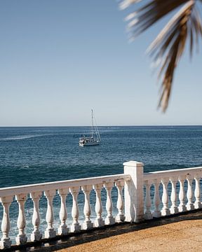 Boot in de zee met palmblad op de voorgrond in Gran Canaria van Myrthe Slootjes