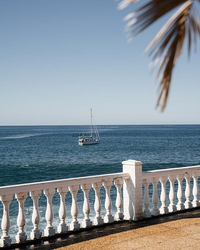 Boot in de zee met palmblad op de voorgrond in Gran Canaria