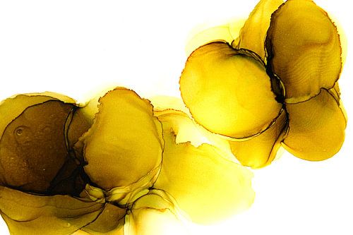 Goldene Resonanz