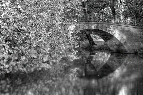 Brug in het park
