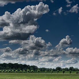 Nederlands weiland met wolkenlucht van Tessa Louwerens
