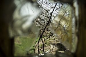 Blick aus einer Ruine