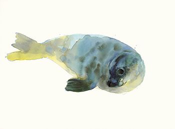 Sceau à l'aquarelle