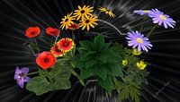 3D-illustratie. Bloemen kussen bloemen.
