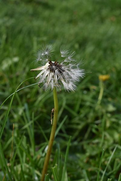 Perfect through all imperfections by Highthorn Photography