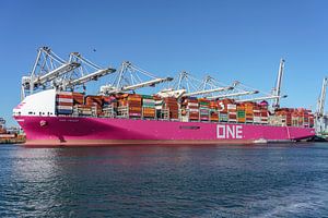 Das Containerschiff ONE Trust.