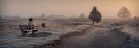 Border-Collie rests on a bench admiring the sunrise at Appelscha