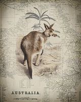 Kangaroo and Australia Map
