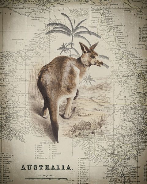 Känguru und Landkarte Australien von Andrea Haase