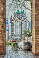 White house Old Port Rotterdam