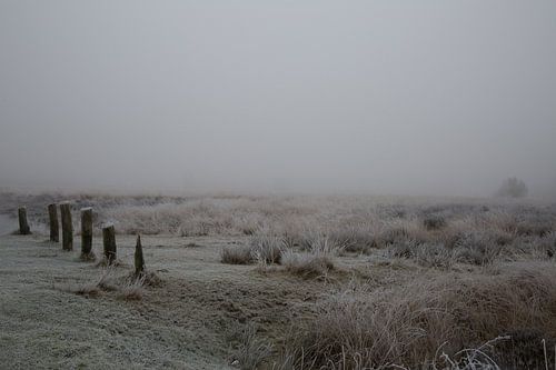 Mist en rijp in Drenthe