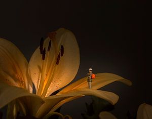 flower exposition