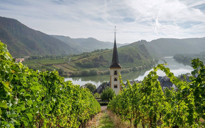 Bremm, Rhénanie-Palatinat, Allemagne par Alexander Ludwig