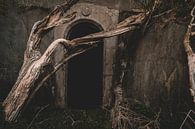 De mystieke ingang van MindScape Photography thumbnail