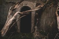 The mystical entrance