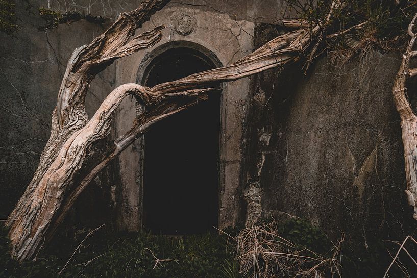 De mystieke ingang van MindScape Photography
