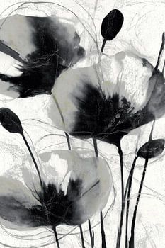 Holzkohle-Mohnstiele