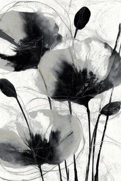 Charcoal Poppy Stems