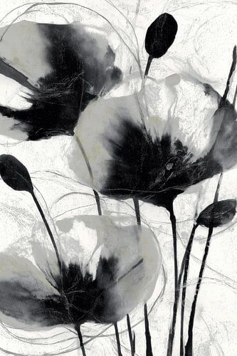 Holzkohle-Mohnstiele