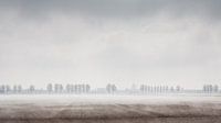 Nebel über dem Zeelandfeld von Arthur van Iterson Miniaturansicht