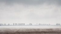Mistige Rust: Een Sereen Landschap van Eindeloze Velden - Mist over Zeeuwse akker