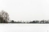 Winterlandschaft mit einer Reihe von Bäumen am Horizont, die zeigen, dass das Land voller Schnee ist von Lieke van Grinsven van Aarle Miniaturansicht
