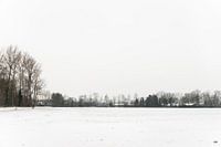 Winter landscape with a row of trees on the horizon showing that the land is full of snow.