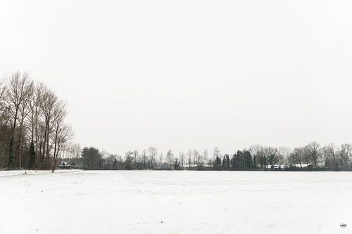 Winters landschap met aan de horizon een rij bomen die laten zien dat het land is vol van sneeuw.