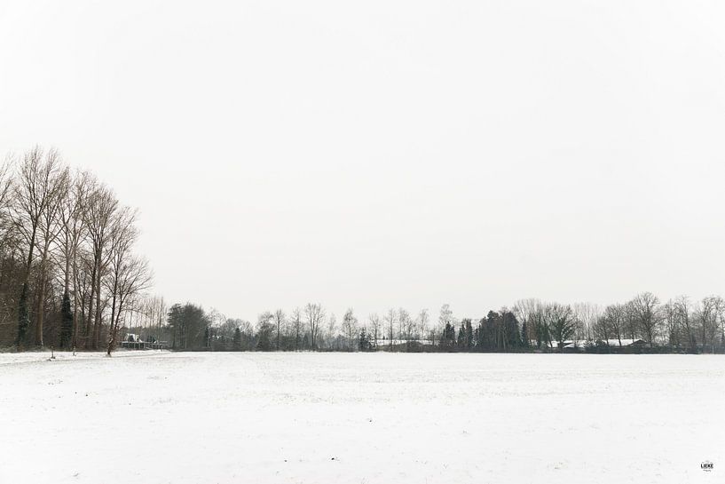 Winterlandschaft mit einer Reihe von Bäumen am Horizont, die zeigen, dass das Land voller Schnee ist von Lieke van Grinsven van Aarle
