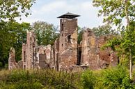 Ruïne Kasteel Bleijenbeek van Ans Bastiaanssen thumbnail