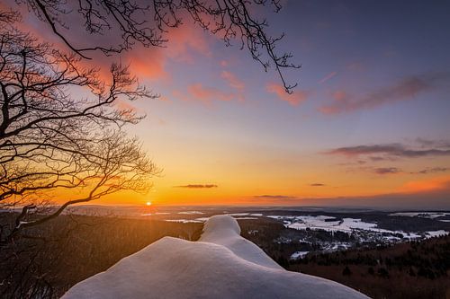 Bosgezicht bij zonsondergang - winter met ijs en sneeuw