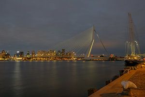 Rotterdamer Erasmus-Brücke Kop van Zuid