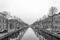 Herengracht, Leiden par Patrick Herzberg Aperçu