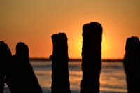 Das Wattenmeer 5