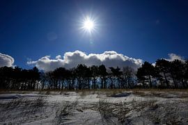 Baltic Sea beach by Thomas Jäger