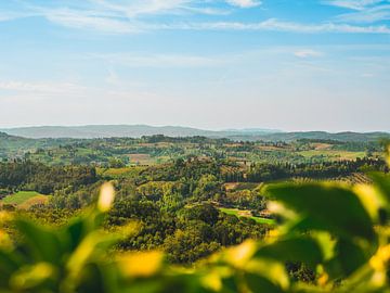 Grüne Toskana-Landschaft von Kwis Design