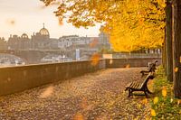 Herfststemming in Dresden