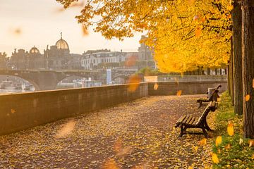 Autumn mood in Dresden by Sergej Nickel