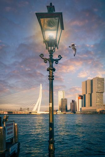 Lantaarn voor de Erasmusbrug in de avondzon in Rotterdam Nederland